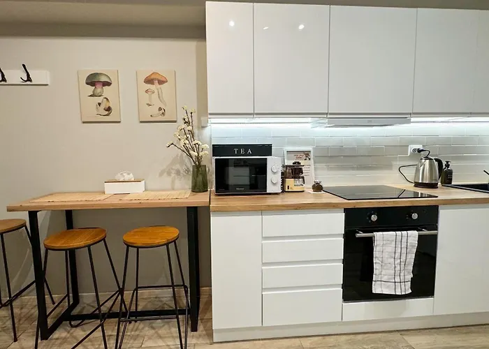 Apartament B2 - Noble - Haven - Shared Bathroom